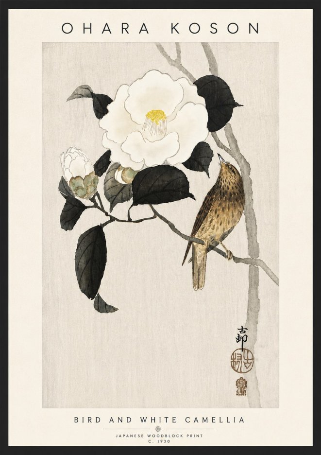 Ohara Koson Bird and White Camellia No6 - Poster