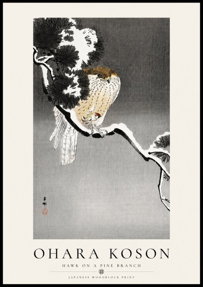 Ohara Koson Hawk on a Pine Branch No4 - Poster