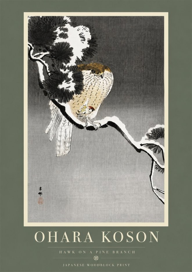 Ohara Koson Hawk on a Pine Branch No5 - Poster