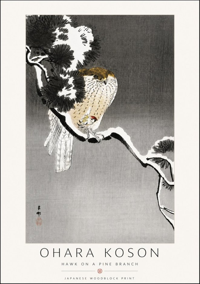 Ohara Koson Hawk on a Pine Branch No6 - Poster