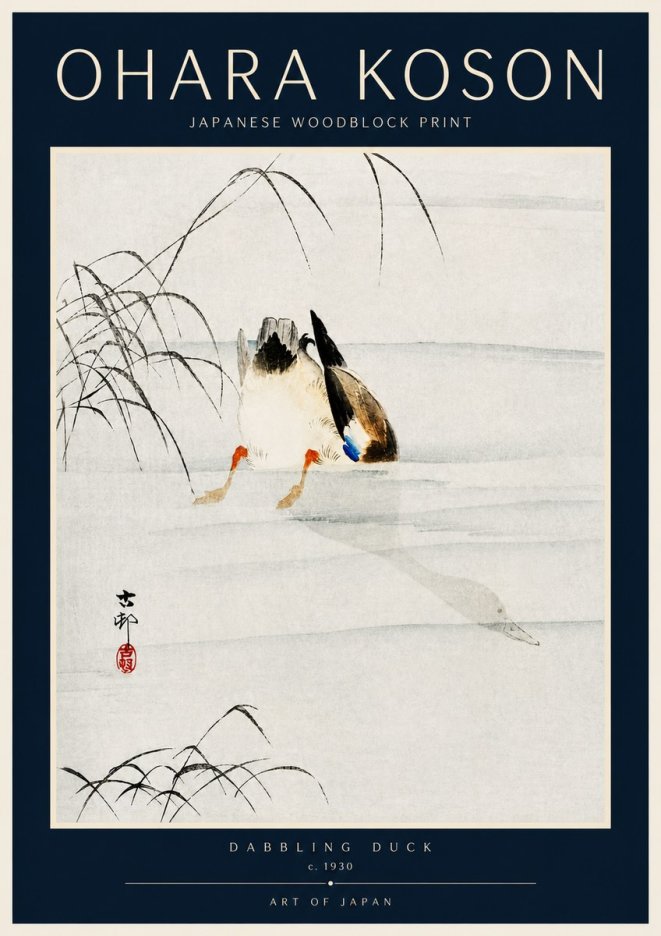 Ohara Koson Dabbling Duck No4 - Poster