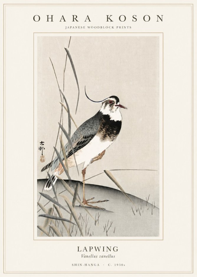 Ohara Koson Lapwing No1 - Poster