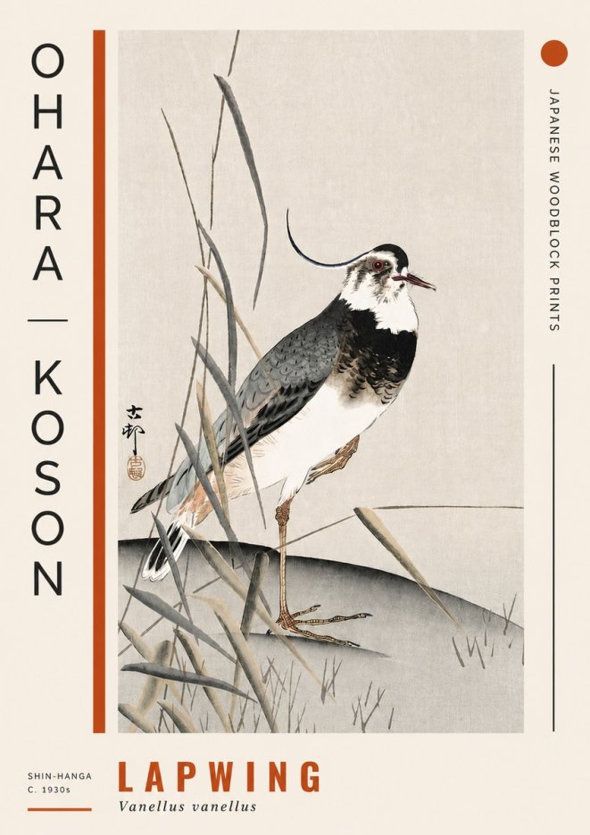 Ohara Koson Lapwing No4 - Poster