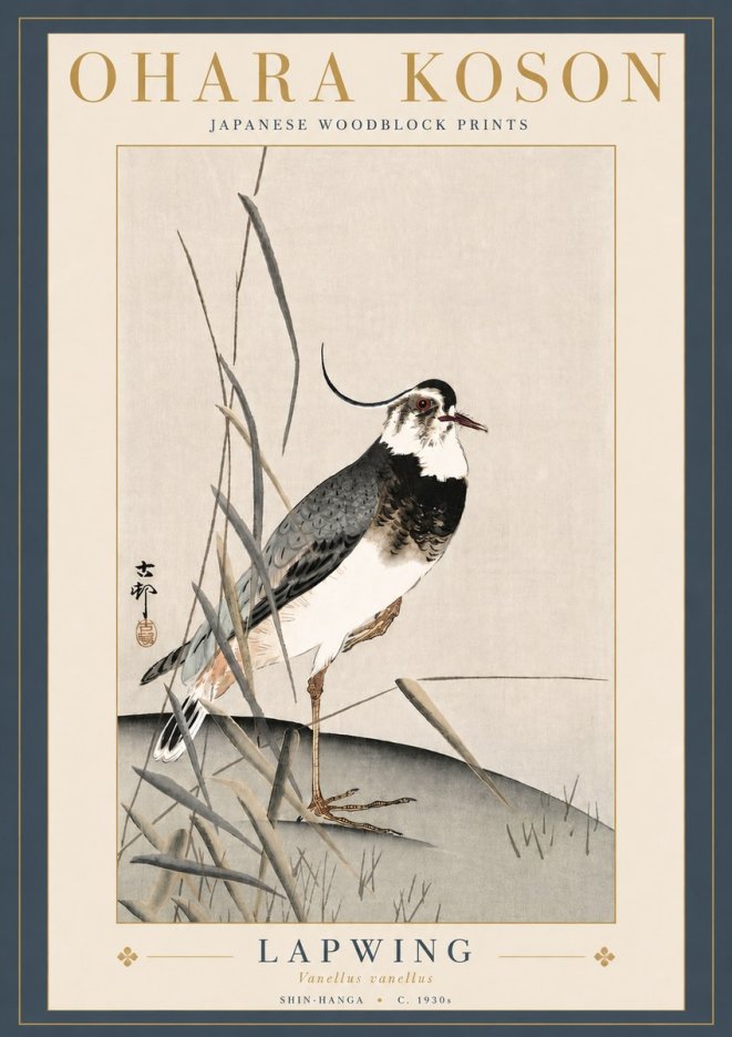 Ohara Koson Lapwing No5 - Poster