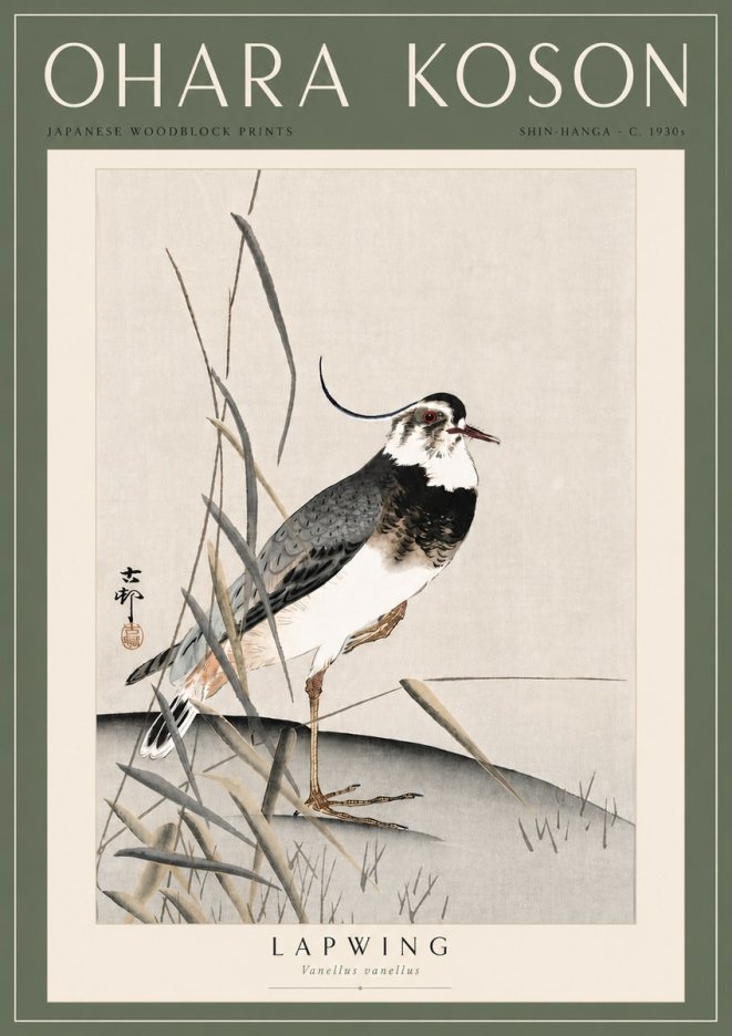 Ohara Koson Lapwing No6 - Poster