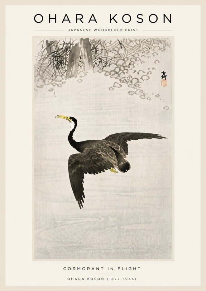 Ohara Koson Cormorant in Flight No3 - Poster