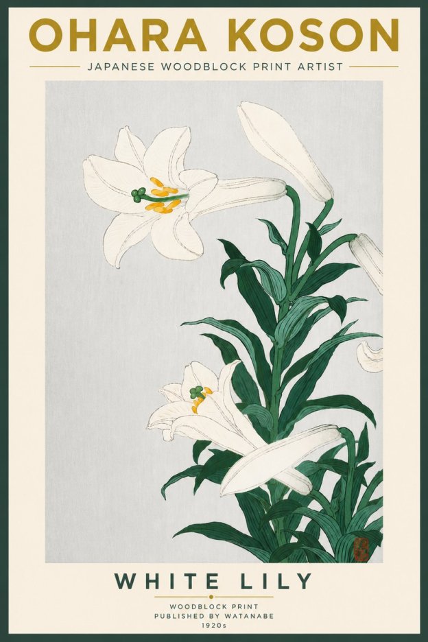 Ohara Koson White Lily No5 - Poster