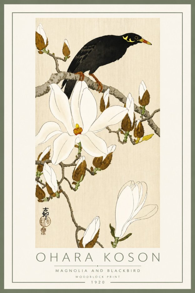 Ohara Koson Magnolia and Blackbird No5 - Poster