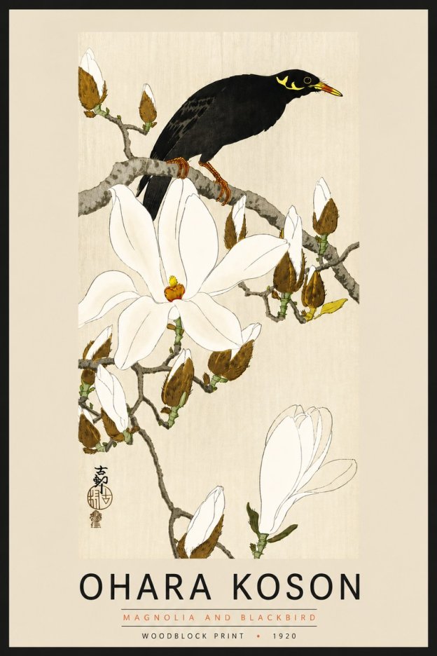 Ohara Koson Magnolia and Blackbird No6 - Poster