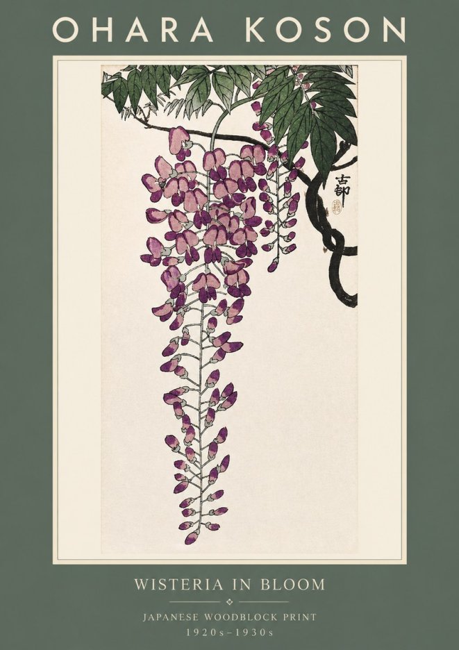 Ohara Koson Wisteria in Bloom No2 - Poster