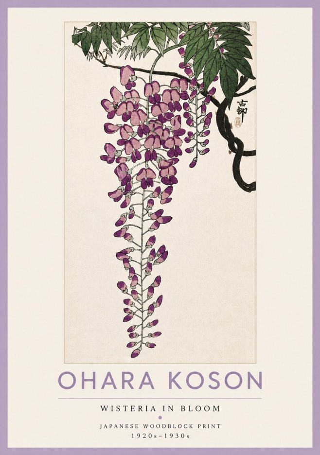 Ohara Koson Wisteria in Bloom No4 - Poster