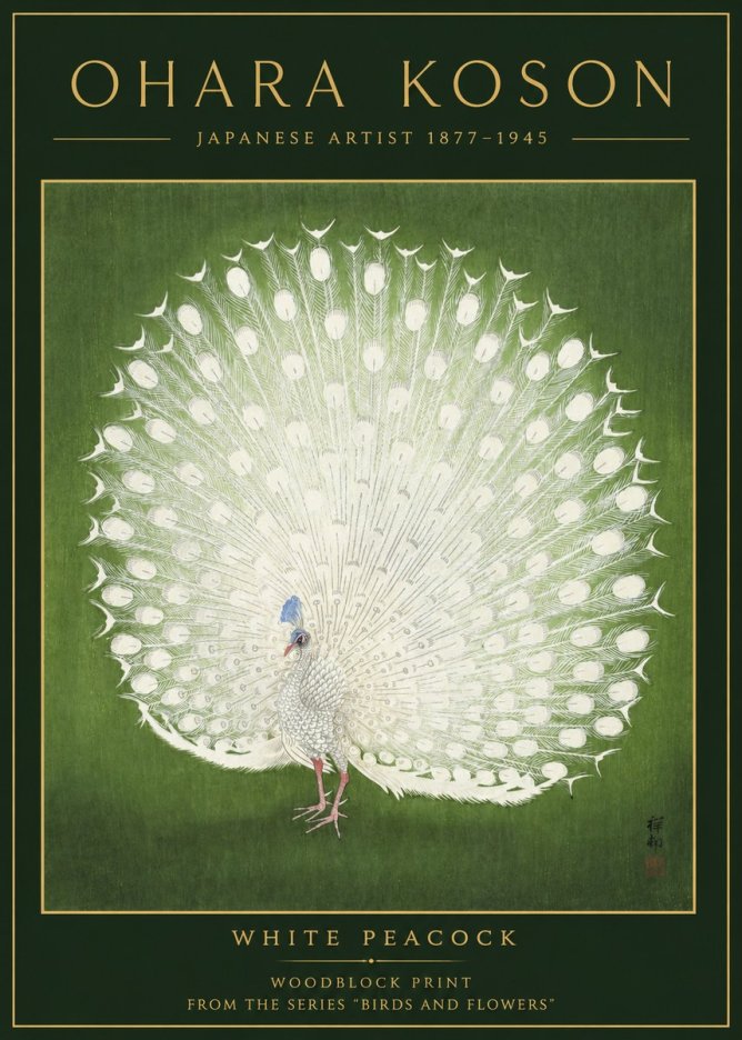 Ohara Koson White Peacock No2 - Poster