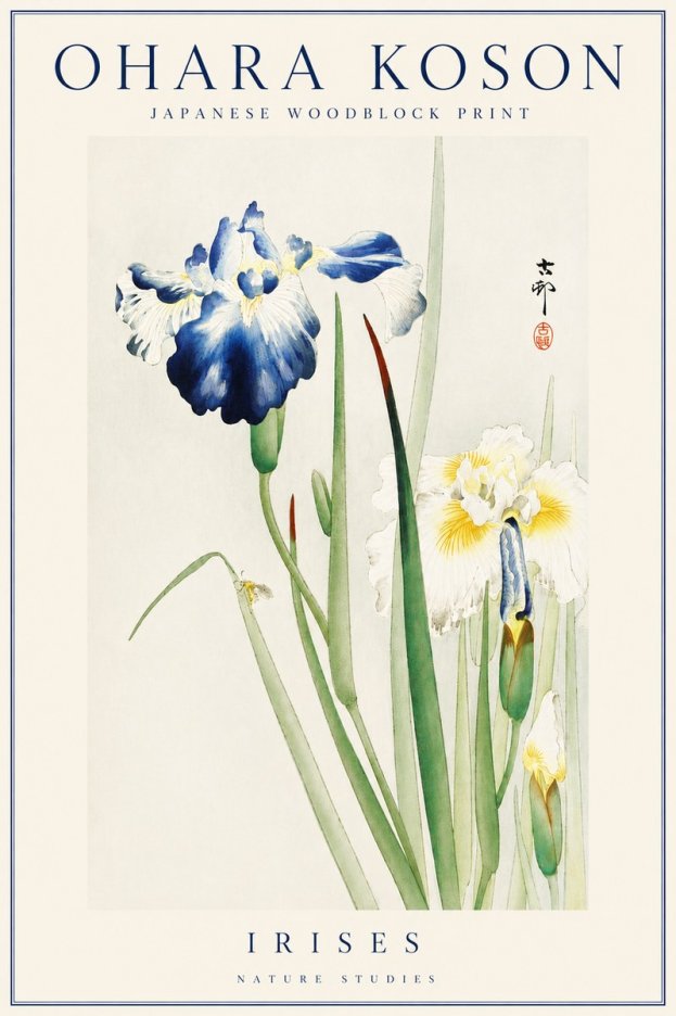 Ohara Koson Irises II No4 - Poster