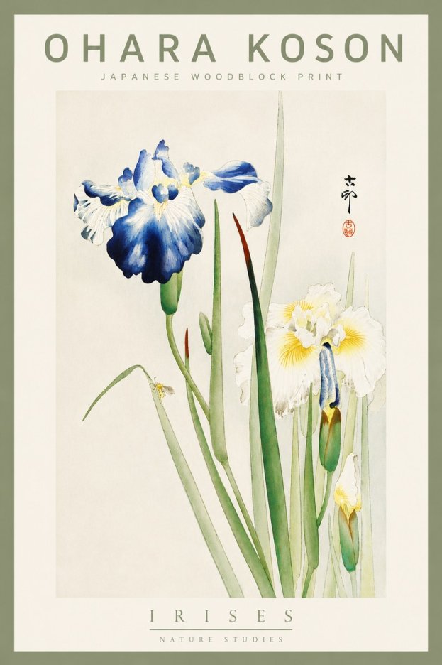 Ohara Koson Irises II No5 - Poster