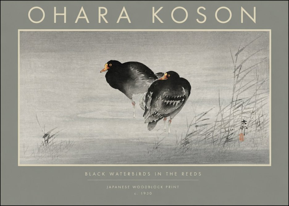 Ohara Koson Black Waterbirds in the Reeds No2 - Poster