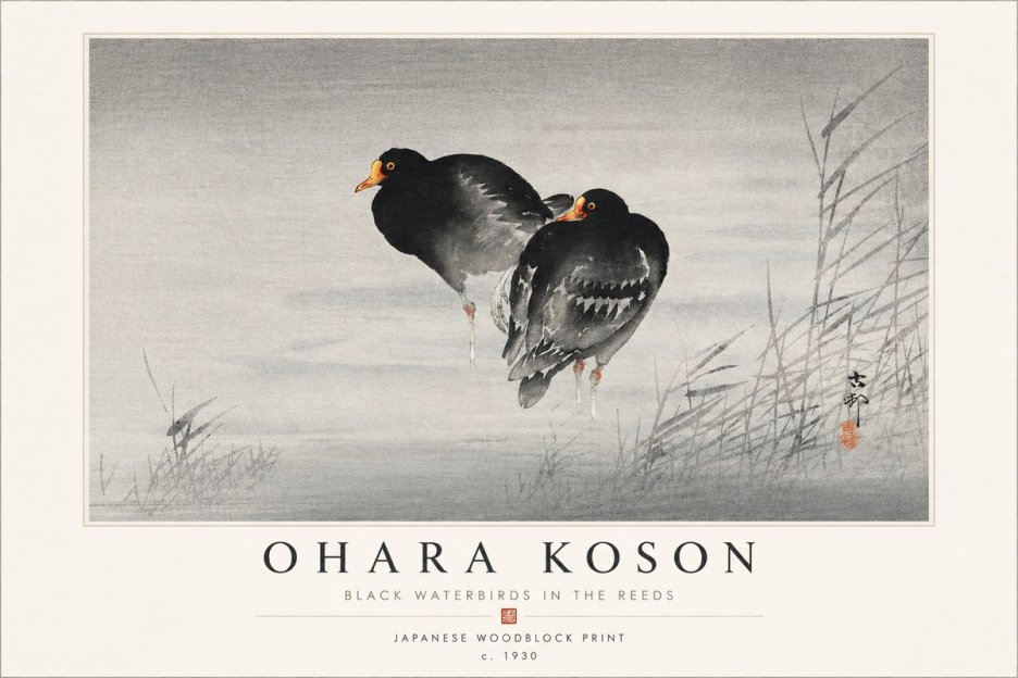 Ohara Koson Black Waterbirds in the Reeds No4 - Poster