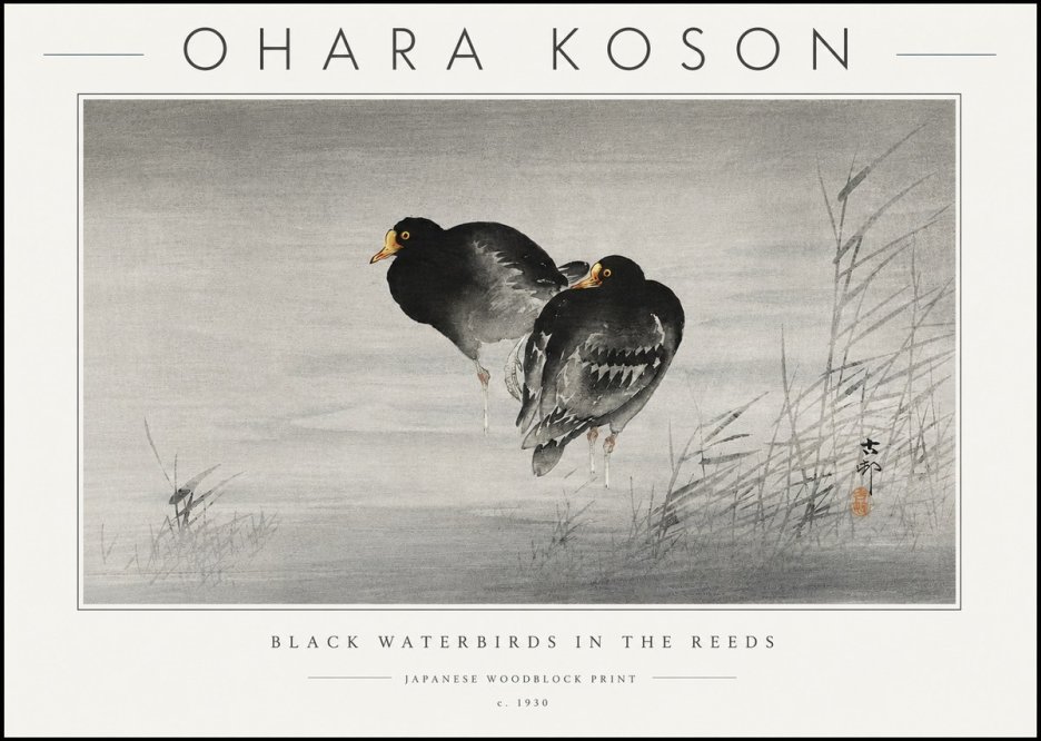 Ohara Koson Black Waterbirds in the Reeds No6 - Poster