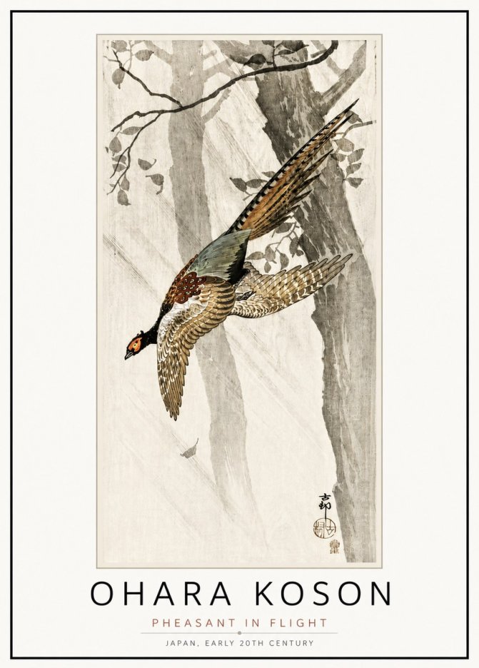 Ohara Koson Pheasant in Flight No4 - Poster