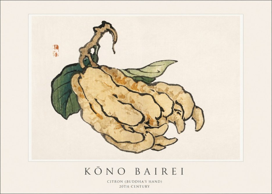 Kōno Bairei Citron (Buddha's Hand) No1 - Poster