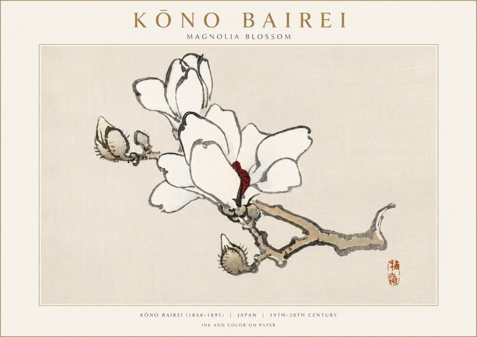 Kōno Bairei Magnolia Blossom No3 - Poster