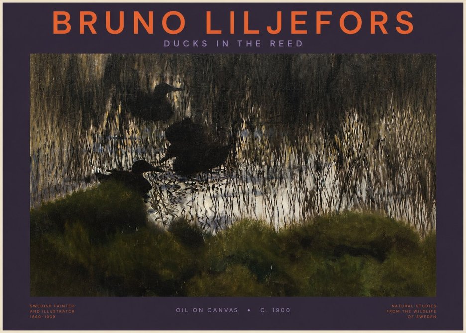 Bruno Liljefors Ducks in the Reed No2 - Poster