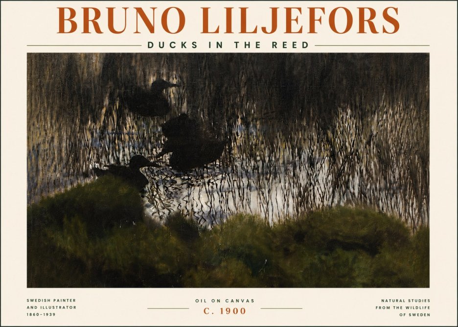 Bruno Liljefors Ducks in the Reed No5 - Poster