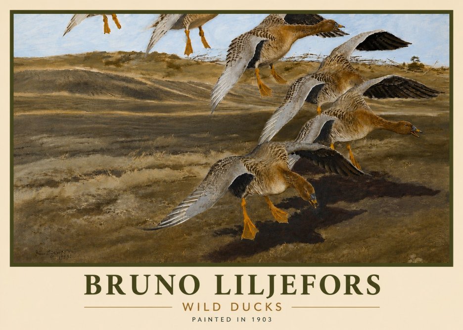 Bruno Liljefors Wild Ducks I No6 - Poster