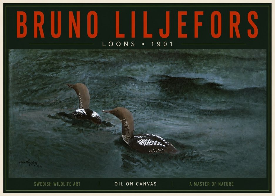 Bruno Liljefors Loons · 1901 No5 - Poster