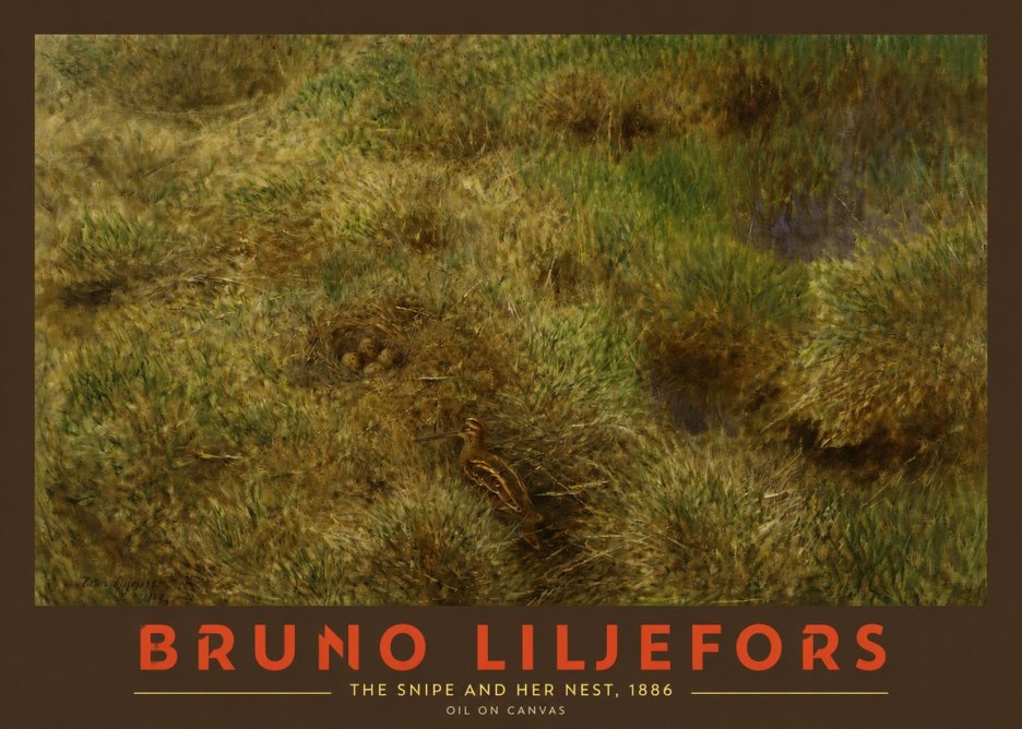Bruno Liljefors The Snipe and Her Nest No2 - Poster