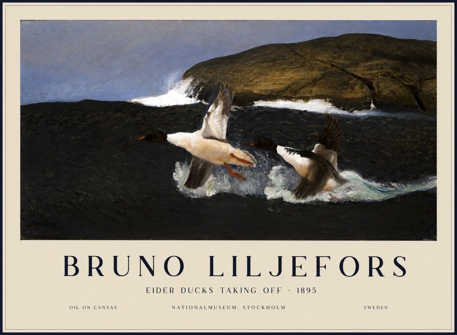 Bruno Liljefors Ducks Taking Flight No3 - Poster
