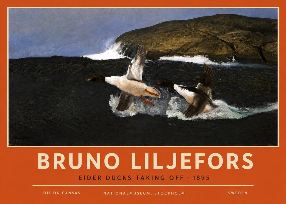 Bruno Liljefors Ducks Taking Flight No6 - Poster