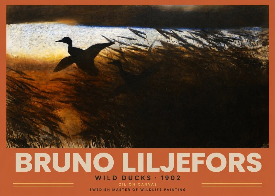 Bruno Liljefors Wild Ducks II No2 - Poster