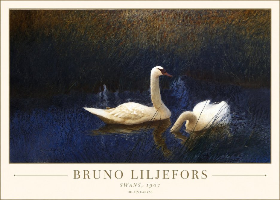 Bruno Liljefors Swans, 1907 No1 - Poster