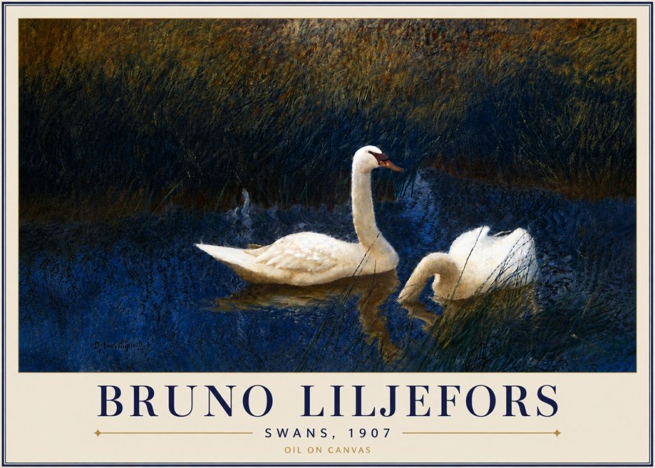 Bruno Liljefors Swans, 1907 No5 - Poster