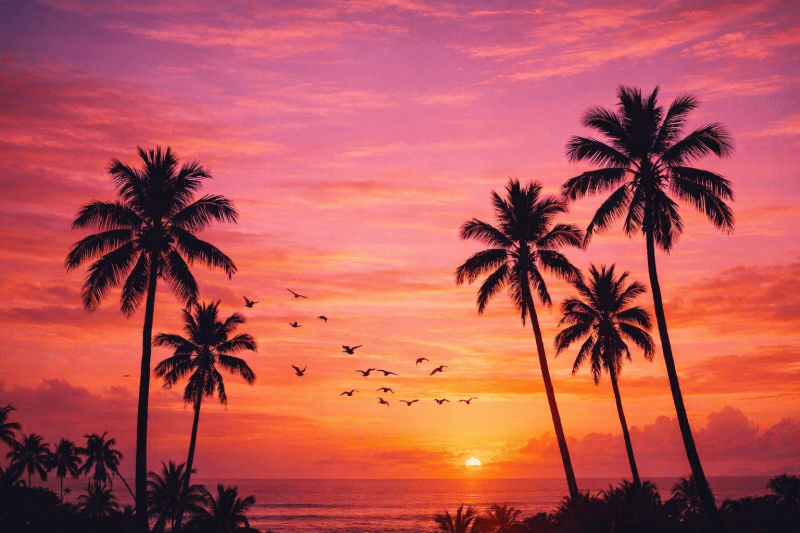Uploaded
wallpaper