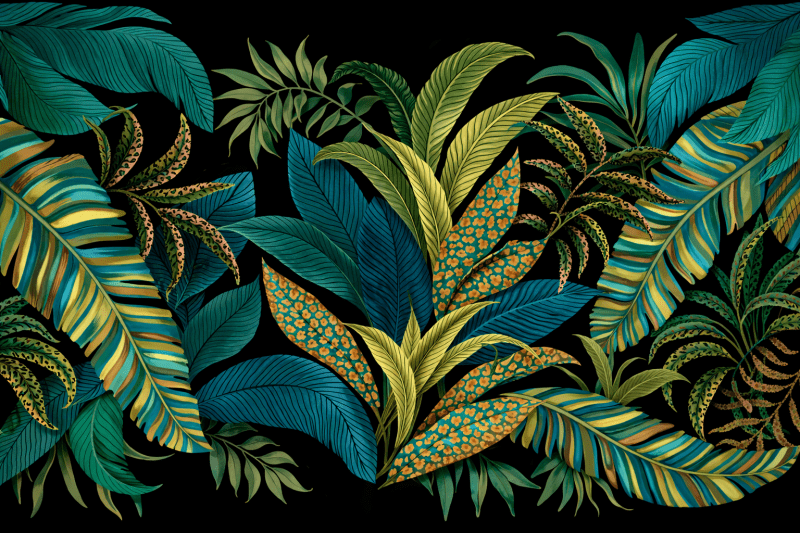 Uploaded
wallpaper