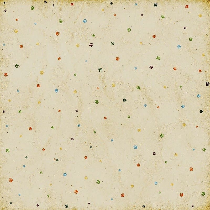 Uploaded
wallpaper