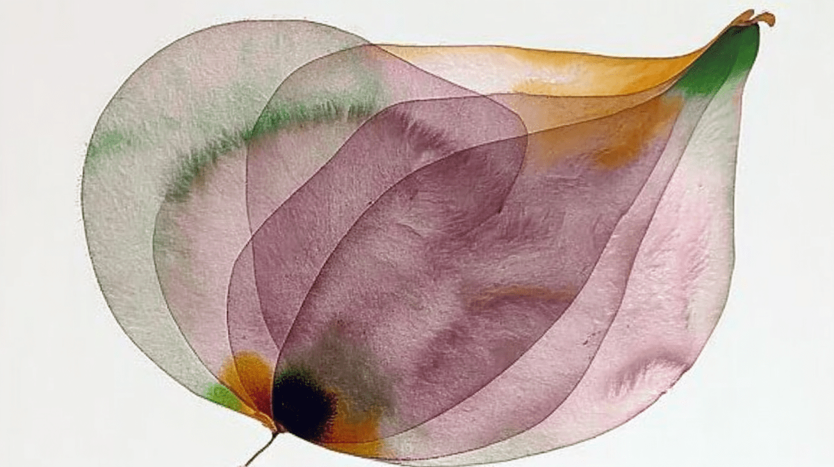 Veil Of Petals