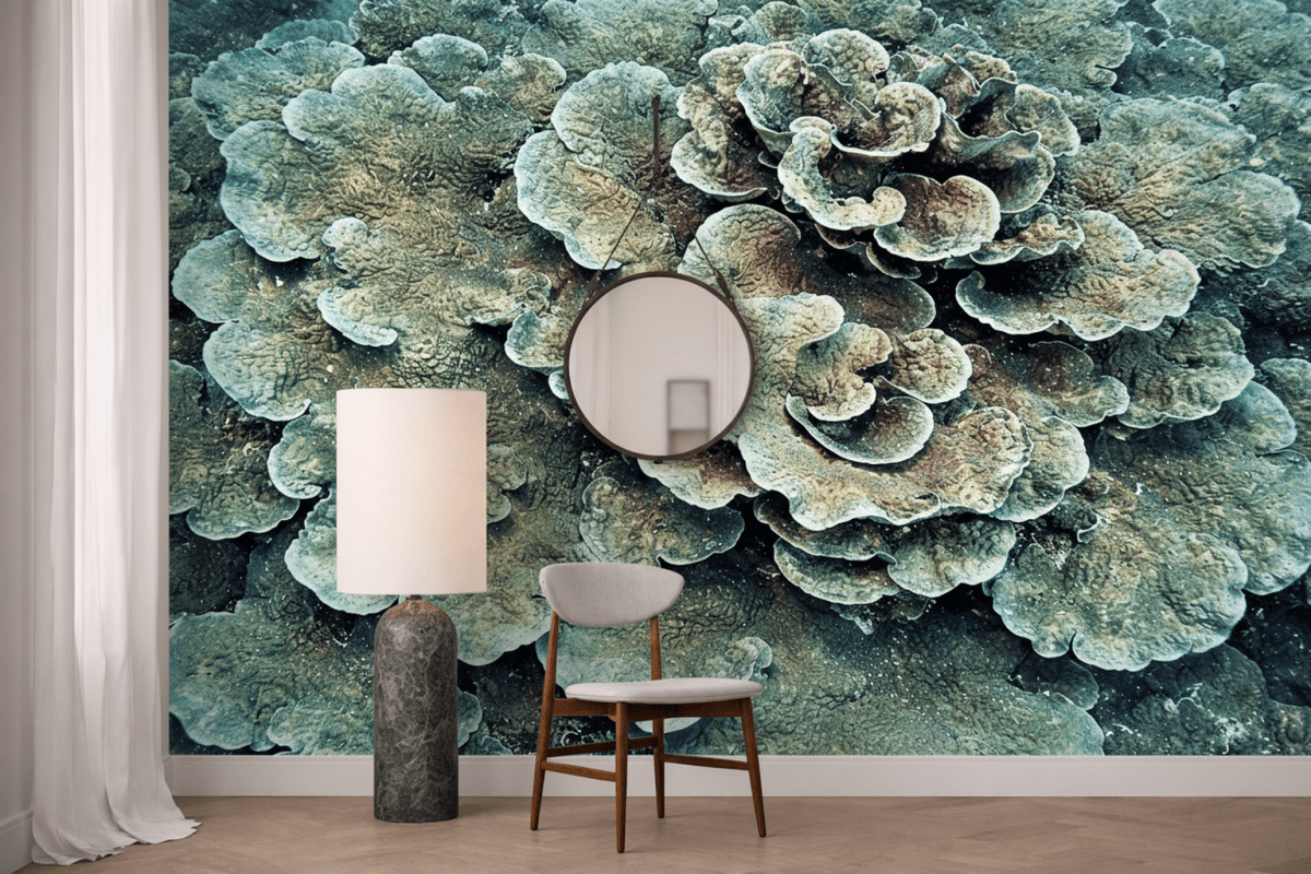 Coral Fusion