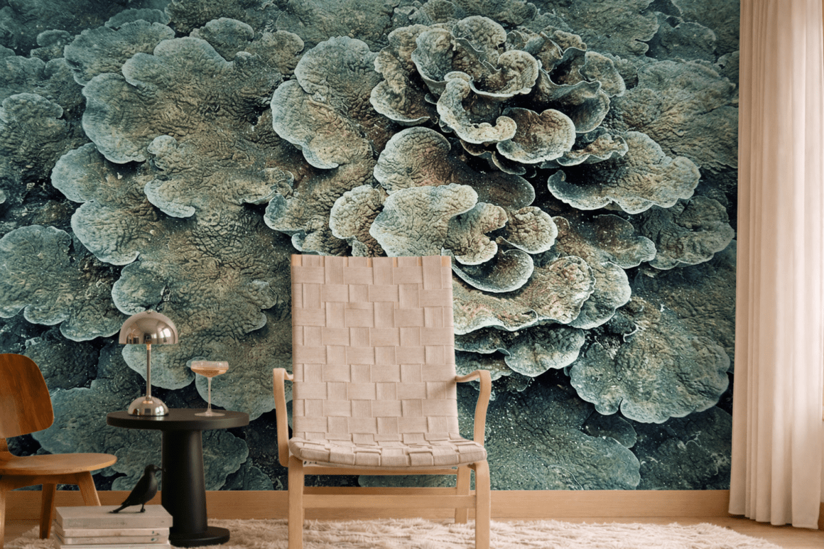 Coral Fusion