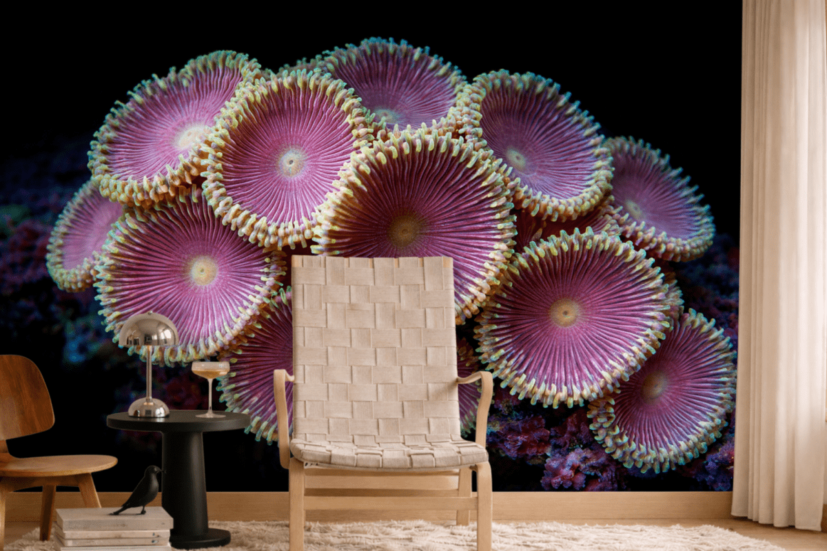 Blossom Array