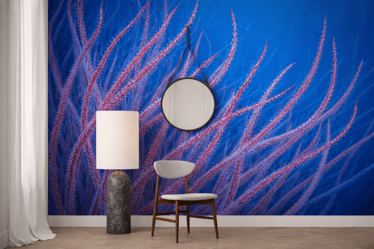 Coral Garden