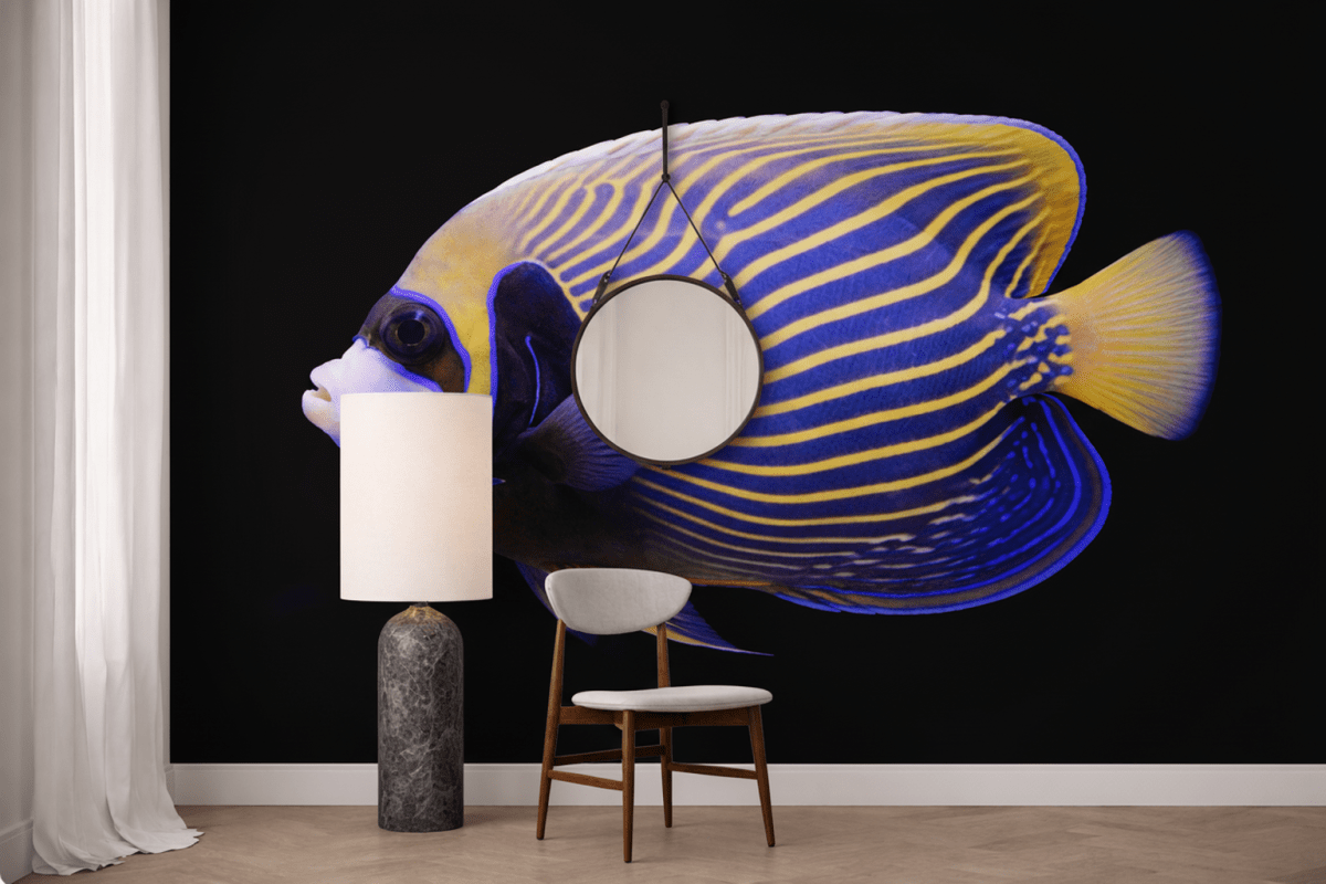 Regal Venturum