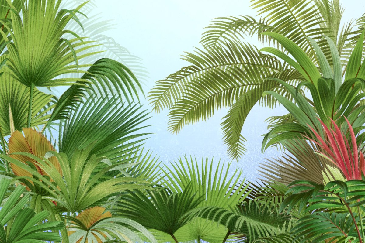 Tidal Palm Grove