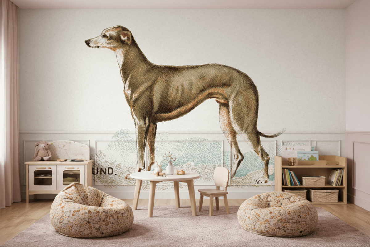 Graceful Sighthound