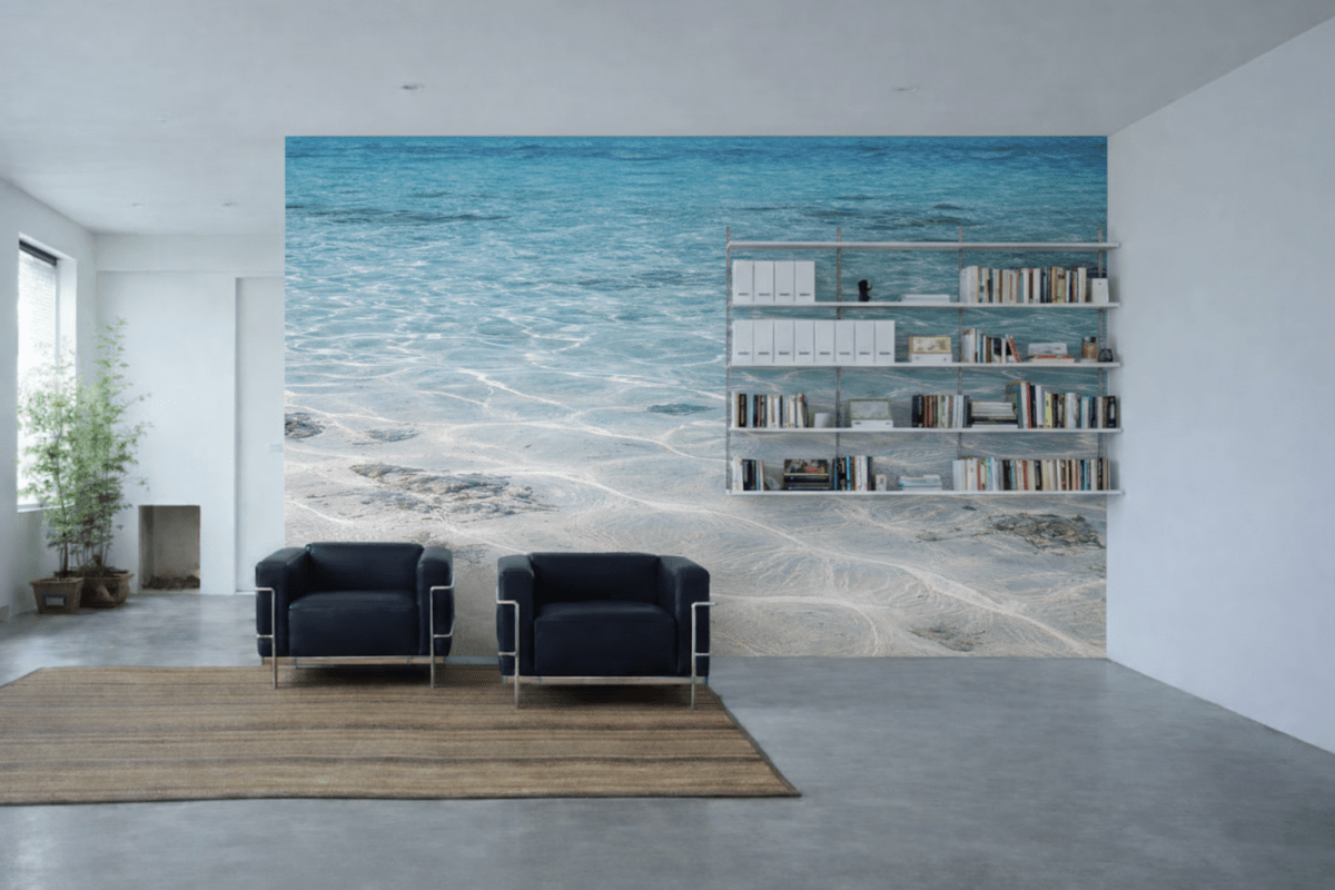 Lucent Shallows