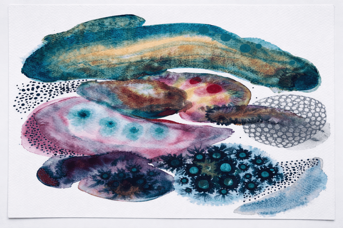 Kelp Palette