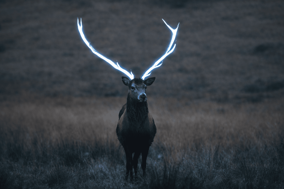 Argent Antlers