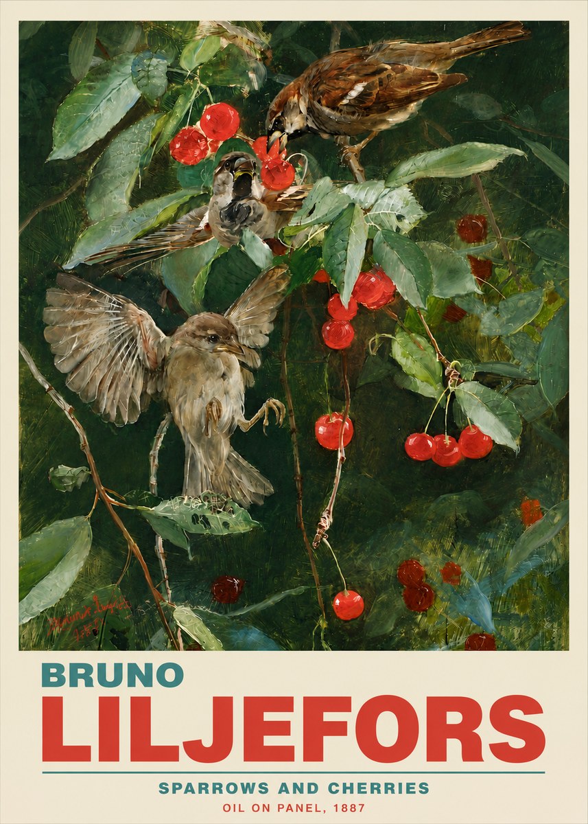 Bruno Liljefors Sparrows and Cherries No5 - Poster