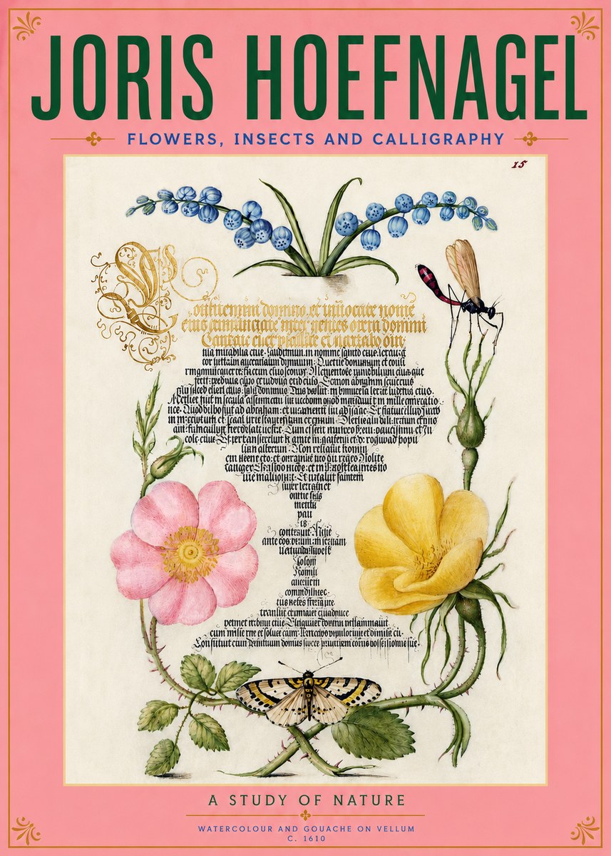 Joris Hoefnagel A Study of Nature I No5 - Poster